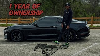 1 Year Of Owning A 2021 Mustang GT IS IT WORTH IT [upl. by Yelyab]