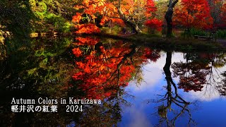 The autumn leaves of Karuizawa are breathtakingly beautiful [upl. by Shelton]