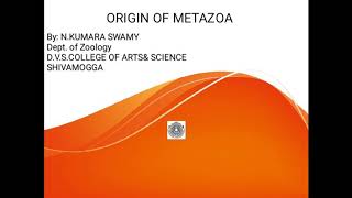 ORIGIN OF METAZOA [upl. by Analram]