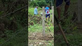 Barbed wire fence installation [upl. by Burnley]