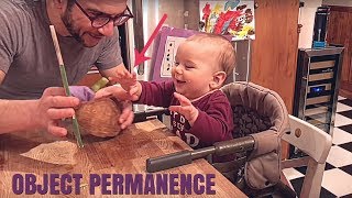 Object Permanence in babies FUNNY AND INFORMATIVE [upl. by Genni]