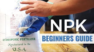 A Beginners Guide NPK in Hydroponics [upl. by Nigel]