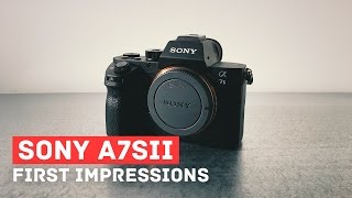 Can you shoot Wedding Films with a Sony A7Sii [upl. by Ardel]