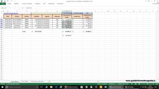 Excel 2013  14 come confrontare un elenco con nomi ripetuti usando i filtri e quotsubtotalequot [upl. by Langelo]