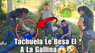 Marisol L3 P0n3 Una G4llin4 En La B0c4 A T4chuel4 Mientras Du3rme🤮T4chuel4 Ll0ra Del C0r4j3😱 [upl. by Racso]