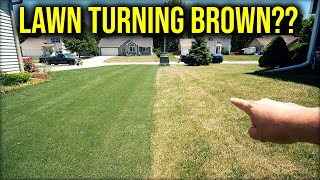 My Lawn Is Turning Yellow or Brown NOW WHAT [upl. by Cheryl]