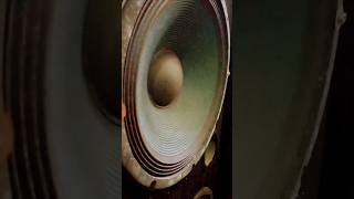 Dual 15 inch speaker bass test powerfulbass shortvideo [upl. by Ahsirtak]