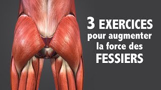 3 exercices pour augmenter la force des FESSIERS pour nonathlètes [upl. by Cammy]