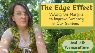 The Edge Effect How to Value the Margins and Enhance Garden Biodiversity [upl. by Sewel943]