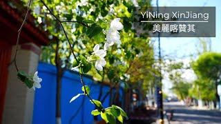 Xinjiang Kazanqi village walking tour  4K 60FPS  19th April 2021 [upl. by Leirad]