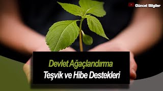 Devlet Ağaçlandırma Teşvik ve Hibe Destekleri [upl. by Clarkson]