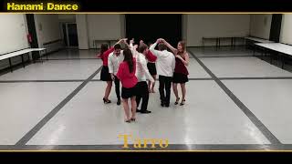 Salsa Rueda Basics  Para abajo Exibela Americanano Tarro  Hanami Dance  Kristof Zsolt [upl. by Iak85]