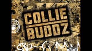 Collie Buddz Come Around Instrumental [upl. by Tteltrab]