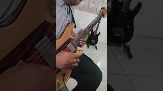 Avenged Sevenfold  Seize The Day Solo Guitar Cover [upl. by Nbi]