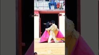 AWESOME bullfighter and bull zaragoza bull animals bullbull [upl. by Terza]