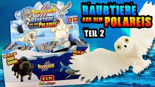 Sbabam ® Kreaturex  Raubtiere aus dem Polareis  Teil 2  Polar Predators  Predatori Polari [upl. by Hgielyk]