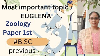 Topic EUGLENAcomplete notes✅BSC PREVIOUS ZOOLOGY PAPER 1st REPRODUCTION CLASSIFICATION [upl. by Eindys]