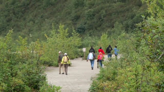 Mendenhall Glacier amp Gardens  Shore Excursion  NCL [upl. by Eibor]