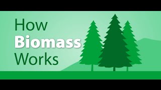 How Biomass works [upl. by Ttezzil]