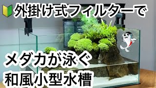 【メダカの小型水槽】苔と石を使ったquot和風メダカ水槽レイアウトquot [upl. by Anelej]