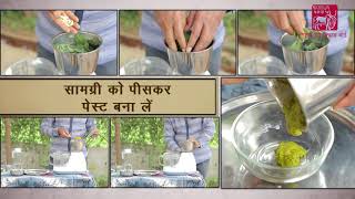 Ethnoveterinary formulation for FMD Foot Lesions Hindi [upl. by Bowra38]