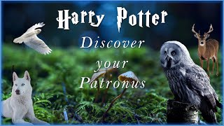 Discover Your Patronus 🎇😱  Test  Like a Pro [upl. by Aneri161]