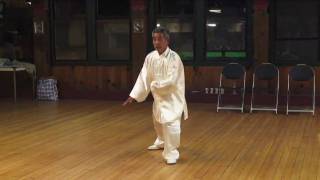 Master Yu Xiao Lin  Fa Jing Demonstration [upl. by Bucky]