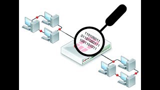 Palo Alto Policy Actions Palo Alto Firewall Policy Actions WireShark Packet capture [upl. by Euv]