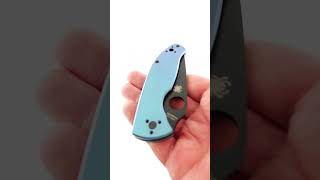 Tenacious RIL Blue – Spyderco Design Production Sample 2024 [upl. by Bricker]