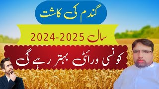 Wheat CultivationWhich Verity Will perform betterGhulam Shabeer Velogs [upl. by Neyugn]