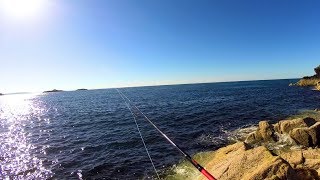 Lure fishing for Mackerel and Pollock in north wales  Llyn peninsula [upl. by Svoboda559]