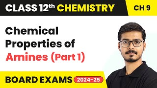 Chemical Properties of Amines Part 1  Amines  Class 12 Chemistry Chapter 9  CBSE 202425 [upl. by Haonam]