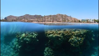 Eilat 2023 snorkeling [upl. by Dnumde]