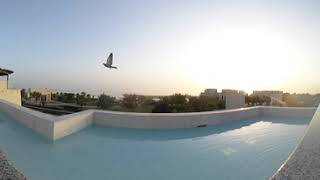 Infinity Pool  Jumeirah Gulf  Bahrain  360 Degree Video  July 2024 [upl. by Demott175]