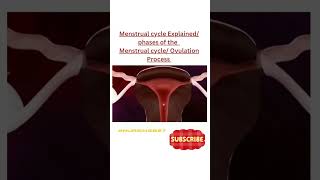 Menstrual cycle Explained phases of the Menstrual cycle Ovulation Process [upl. by Vesta]