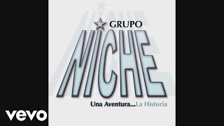 Grupo Niche  Te Enseñare A Olvidar Cover Audio Video [upl. by Carrillo444]