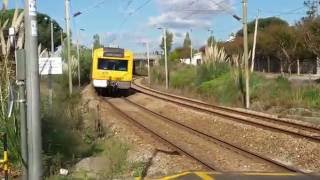 UTE 2240  Lili Caneças  160 anos CP Train Portuguese [upl. by Jorry389]