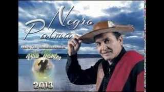 NEGRO PALMA LA JUGUETONA [upl. by Assirrac]