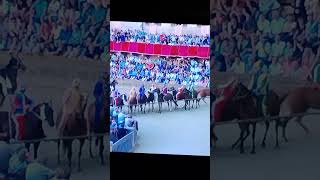 palio di Siena 2024 live [upl. by Odnalro361]