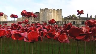 British use poppies to commemorate WWI [upl. by Hsinam216]