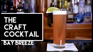 How To Make The Bay Breeze Cocktail  Bartending 101 🍹 The Craft Cocktail [upl. by Darmit]