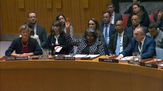 US vetoes UN Security Council Gaza ceasefire push  AFP [upl. by Atalaya813]