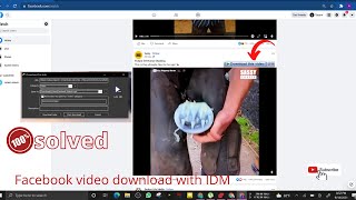 How To Download Private Facebook Video In Laptop Step By Step [upl. by Leahcimluap]