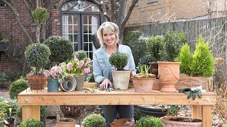 How To Make a Boxwood Topiary Ball  Southern Living Plant Collection X Linda Vater [upl. by Aislehc]