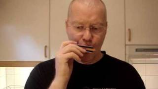 Harmonica lessons St James Infirmary Blues with tabs [upl. by Imik870]