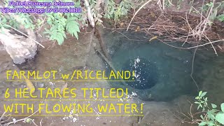 vlog 613 FARMLOTRICELAND W FLOWING WATER 6 HECTARES IN UMINGAN PANGASINANGOOD FOR INVESTMENT [upl. by Iago19]