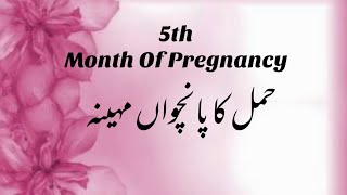 5th Month Of Pregnancy 5th Month Pregnancy Symptoms  Baby In 5th Month  Baby Development [upl. by Auqenahs]