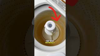 I Saved This Washing Machine cleaning satisfying cleaningtips [upl. by Gwenny]