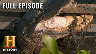 Swamp People Ruthless Oversized Beasts Fill the Swamp S10 E13  Full Episode  History [upl. by Enytsirhc25]