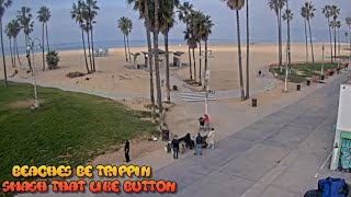 Venice Beach Webcam  Venice Beach Live Cam  venice beach live boardwalk cam [upl. by Market]